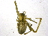 ( - BIOUG04082-A09)  @13 [ ] CreativeCommons - Attribution (2013) CBG Photography Group Centre for Biodiversity Genomics