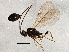  ( - BIOUG04084-B09)  @12 [ ] CreativeCommons - Attribution (2013) CBG Photography Group Centre for Biodiversity Genomics