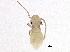  ( - BIOUG04086-G12)  @12 [ ] CreativeCommons - Attribution (2013) CBG Photography Group Centre for Biodiversity Genomics