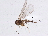  ( - BIOUG04089-G01)  @13 [ ] CreativeCommons - Attribution (2013) CBG Photography Group Centre for Biodiversity Genomics