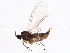  ( - BIOUG04090-A08)  @13 [ ] CreativeCommons - Attribution (2013) CBG Photography Group Centre for Biodiversity Genomics