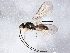  ( - BIOUG04113-B09)  @13 [ ] CreativeCommons - Attribution (2013) CBG Photography Group Centre for Biodiversity Genomics