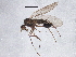  ( - BIOUG04114-F10)  @14 [ ] CreativeCommons - Attribution (2013) CBG Photography Group Centre for Biodiversity Genomics