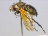  ( - BIOUG04263-F03)  @12 [ ] CreativeCommons - Attribution (2013) CBG Photography Group Centre for Biodiversity Genomics
