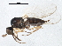  ( - BIOUG04153-G05)  @13 [ ] CreativeCommons - Attribution (2013) CBG Photography Group Centre for Biodiversity Genomics