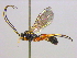  ( - BIOUG04267-C10)  @13 [ ] CreativeCommons - Attribution (2013) CBG Photography Group Centre for Biodiversity Genomics