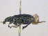  ( - BIOUG04268-B08)  @13 [ ] CreativeCommons - Attribution (2013) CBG Photography Group Centre for Biodiversity Genomics