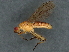  ( - BIOUG04110-E11)  @11 [ ] CreativeCommons - Attribution (2022) CBG Photography Group Centre for Biodiversity Genomics