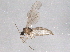  ( - BIOUG04155-E08)  @12 [ ] CreativeCommons - Attribution (2013) CBG Photography Group Centre for Biodiversity Genomics