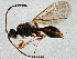  ( - BIOUG04159-C09)  @13 [ ] CreativeCommons - Attribution (2013) CBG Photography Group Centre for Biodiversity Genomics