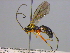  ( - BIOUG04267-D12)  @14 [ ] CreativeCommons - Attribution (2013) CBG Photography Group Centre for Biodiversity Genomics