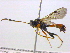  ( - BIOUG04267-E09)  @14 [ ] CreativeCommons - Attribution (2013) CBG Photography Group Centre for Biodiversity Genomics