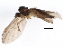 ( - BIOUG04110-E02)  @13 [ ] CreativeCommons - Attribution (2013) CBG Photography Group Centre for Biodiversity Genomics