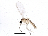  ( - BIOUG04155-H08)  @12 [ ] CreativeCommons - Attribution (2013) CBG Photography Group Centre for Biodiversity Genomics