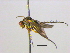  ( - BIOUG04266-C09)  @14 [ ] CreativeCommons - Attribution (2013) CBG Photography Group Centre for Biodiversity Genomics