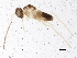  ( - BIOUG04219-H05)  @12 [ ] CreativeCommons - Attribution (2013) CBG Photography Group Centre for Biodiversity Genomics
