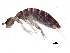  ( - BIOUG04218-G01)  @14 [ ] CreativeCommons - Attribution (2013) CBG Photography Group Centre for Biodiversity Genomics