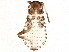  ( - BIOUG04220-F04)  @12 [ ] CreativeCommons - Attribution (2012) CBG Photography Group Centre for Biodiversity Genomics