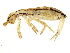  ( - BIOUG04262-E10)  @14 [ ] CreativeCommons - Attribution (2013) CBG Photography Group Centre for Biodiversity Genomics