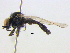  ( - BIOUG04464-E03)  @13 [ ] CreativeCommons - Attribution (2013) CBG Photography Group Centre for Biodiversity Genomics