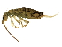  ( - BIOUG04262-H07)  @15 [ ] CreativeCommons - Attribution (2013) CBG Photography Group Centre for Biodiversity Genomics