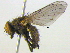  ( - BIOUG04464-E08)  @13 [ ] CreativeCommons - Attribution (2013) CBG Photography Group Centre for Biodiversity Genomics