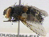  ( - BIOUG04464-E11)  @14 [ ] CreativeCommons - Attribution (2013) CBG Photography Group Centre for Biodiversity Genomics