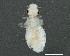  ( - BIOUG04298-C11)  @12 [ ] CreativeCommons - Attribution (2013) CBG Photography Group Centre for Biodiversity Genomics