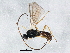  ( - BIOUG04361-F07)  @13 [ ] CreativeCommons - Attribution (2013) CBG Photography Group Centre for Biodiversity Genomics