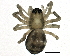  ( - BIOUG04088-B04)  @12 [ ] CreativeCommons - Attribution (2013) CBG Photography Group Centre for Biodiversity Genomics