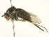  ( - BIOUG04505-C06)  @13 [ ] CreativeCommons - Attribution (2013) CBG Photography Group Centre for Biodiversity Genomics