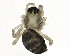  ( - BIOUG04088-B08)  @12 [ ] CreativeCommons - Attribution (2013) CBG Photography Group Centre for Biodiversity Genomics