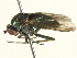 ( - BIOUG04507-D05)  @12 [ ] CreativeCommons - Attribution (2013) CBG Photography Group Centre for Biodiversity Genomics