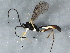  ( - BIOUG04300-G09)  @14 [ ] CreativeCommons - Attribution (2013) CBG Photography Group Centre for Biodiversity Genomics