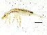  ( - BIOUG04439-F10)  @14 [ ] CreativeCommons - Attribution (2013) CBG Photography Group Centre for Biodiversity Genomics