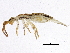  ( - BIOUG04088-E03)  @15 [ ] CreativeCommons - Attribution (2013) CBG Photography Group Centre for Biodiversity Genomics