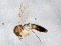 ( - BIOUG04437-D06)  @13 [ ] CreativeCommons - Attribution (2013) CBG Photography Group Centre for Biodiversity Genomics