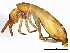  ( - BIOUG04363-F09)  @15 [ ] CreativeCommons - Attribution (2013) CBG Photography Group Centre for Biodiversity Genomics