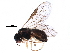  ( - BIOUG15933-H07)  @14 [ ] CreativeCommons - Attribution (2016) CBG Photography Group Centre for Biodiversity Genomics