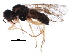  ( - BIOUG15936-A11)  @13 [ ] CreativeCommons - Attribution (2016) CBG Photography Group Centre for Biodiversity Genomics