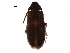  ( - BIOUG16417-H03)  @13 [ ] CreativeCommons - Attribution (2016) CBG Photography Group Centre for Biodiversity Genomics