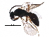  ( - BIOUG21307-B02)  @13 [ ] CreativeCommons - Attribution (2016) CBG Photography Group Centre for Biodiversity Genomics