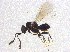  ( - BIOUG05001-G07)  @13 [ ] CreativeCommons - Attribution (2013) CBG Photography Group Centre for Biodiversity Genomics