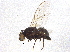  ( - BIOUG05020-E10)  @12 [ ] CreativeCommons - Attribution (2013) CBG Photography Group Centre for Biodiversity Genomics