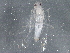  ( - BIOUG05031-G12)  @13 [ ] CreativeCommons - Attribution (2013) CBG Photography Group Centre for Biodiversity Genomics
