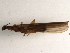  ( - BIOUG04363-H11)  @12 [ ] CreativeCommons - Attribution (2013) CBG Photography Group Centre for Biodiversity Genomics