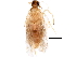  ( - BIOUG35874-F05)  @11 [ ] CreativeCommons - Attribution (2018) CBG Photography Group Centre for Biodiversity Genomics