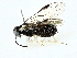  ( - BIOUG62308-F07)  @11 [ ] CreativeCommons - Attribution (2022) CBG Photography Group Centre for Biodiversity Genomics