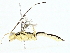  ( - BIOUG62310-D03)  @11 [ ] CreativeCommons - Attribution (2022) CBG Photography Group Centre for Biodiversity Genomics