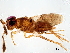  ( - BIOUG62686-F10)  @11 [ ] CreativeCommons - Attribution (2023) CBG Photography Group Centre for Biodiversity Genomics
